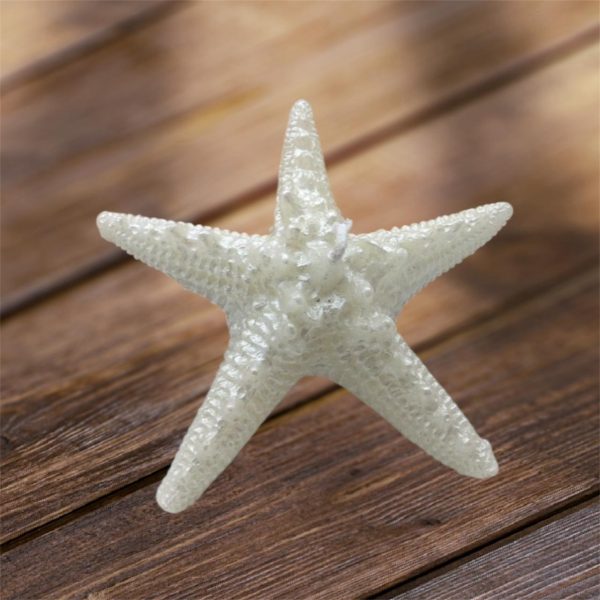 Estrela do Mar