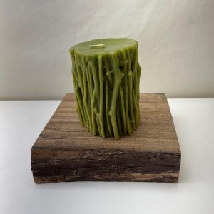 Cilindro Tronco P