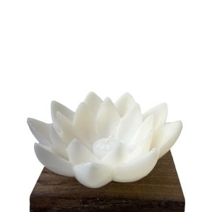 Lotus G