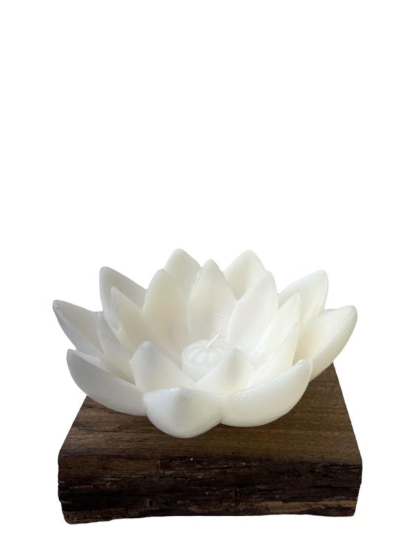 Lotus G